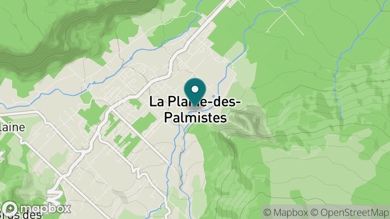 Carte - La Plaine Des Palmistes