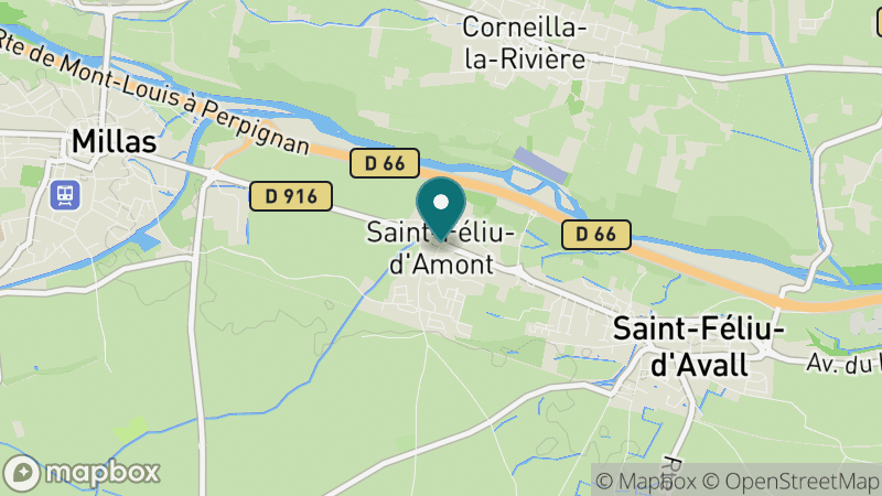 Carte - Saint Feliu D'amont