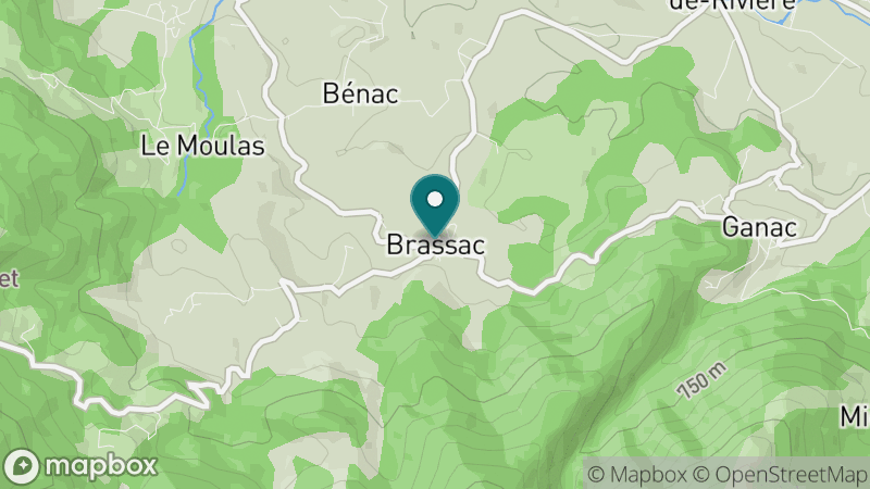 Carte - Brassac