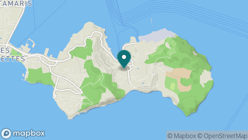 Carte - Saint Mandrier Sur Mer