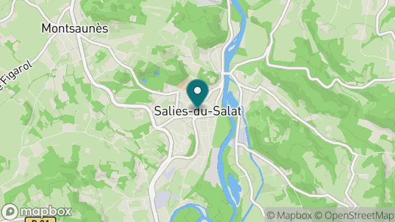 Carte - Salies-du-Salat