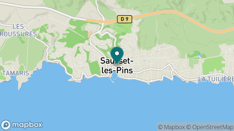 Carte - Sausste Les Pins