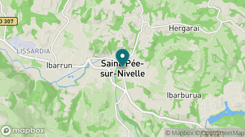 Carte - Saint-pée-sur-nivelle