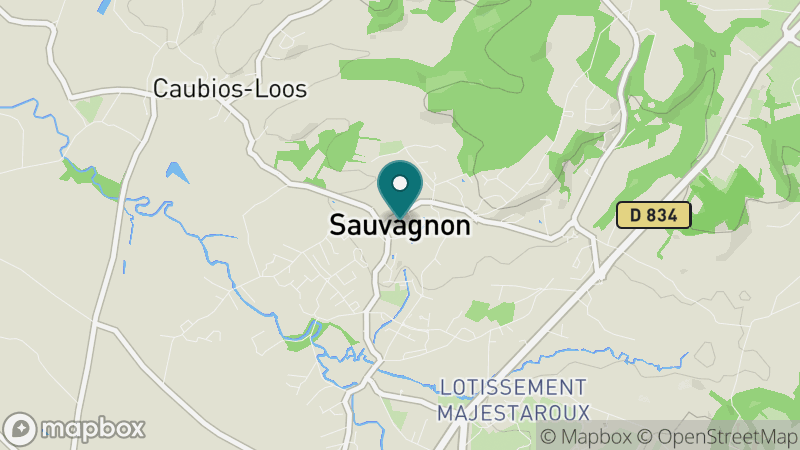 Carte - Sauvagnon