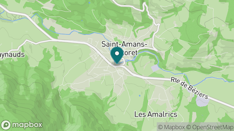 Carte - Saint Amans Soult