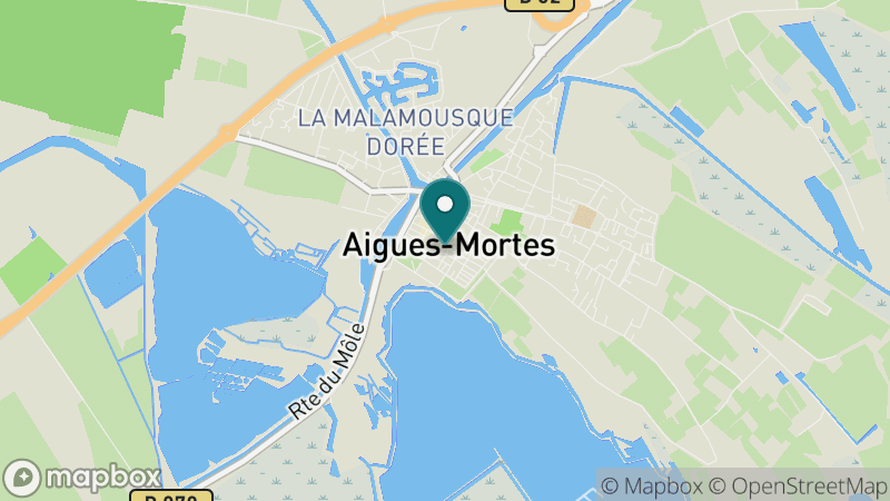 Carte - Aigues-Mortes