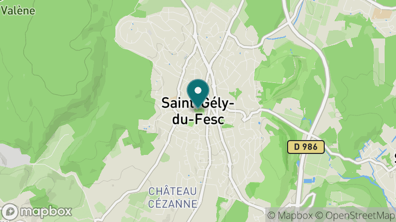 Carte - Saint-Gély-du-Fesc