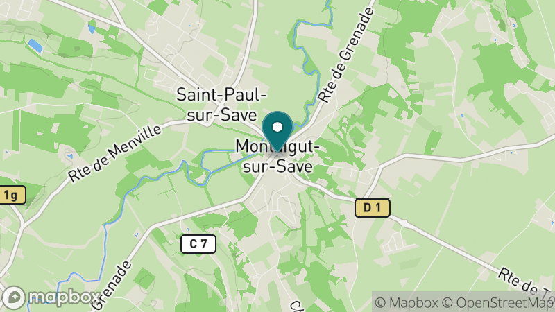 Carte - Montaigut Sur Save