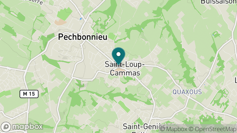 Carte - Saint Loup Cammas