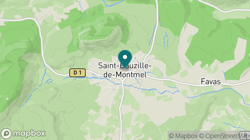 Carte - Saint Bauzille De Montmel