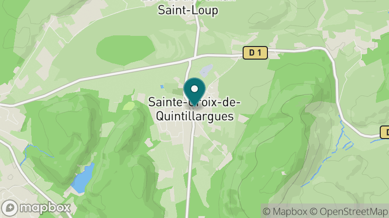Carte - Sainte-Croix-de-Quintillargues