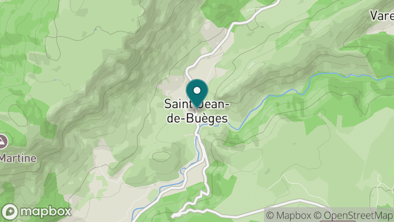 Carte - Saint-Jean-de-Buèges