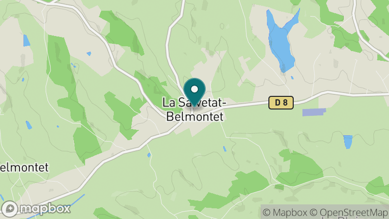 Carte - La Salvetat-Belmontet