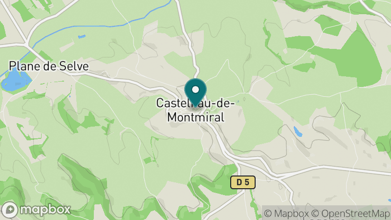Carte - Castelnau De Montmiral