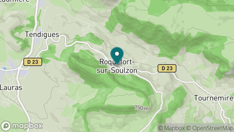 Carte - Roquefort-sur-Soulzon