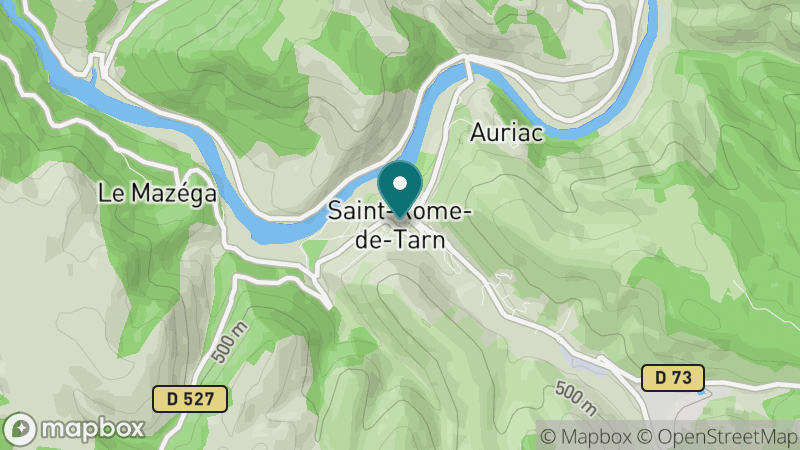 Carte - Saint Rome De Tarn