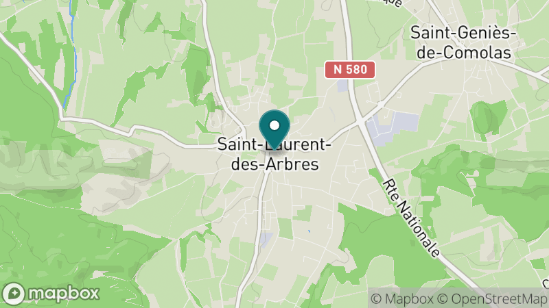 Carte - Saint Laurent Des Arbres