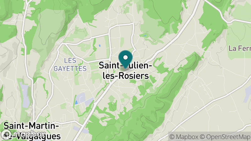 Carte - Saint Julien Les Rosiers