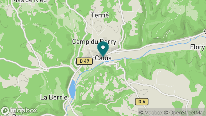 Carte - Catus