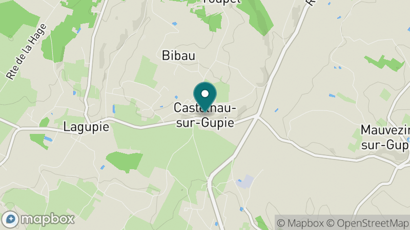 Carte - Castelnau Sur Gupie