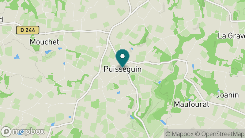 Carte - Puisseguin