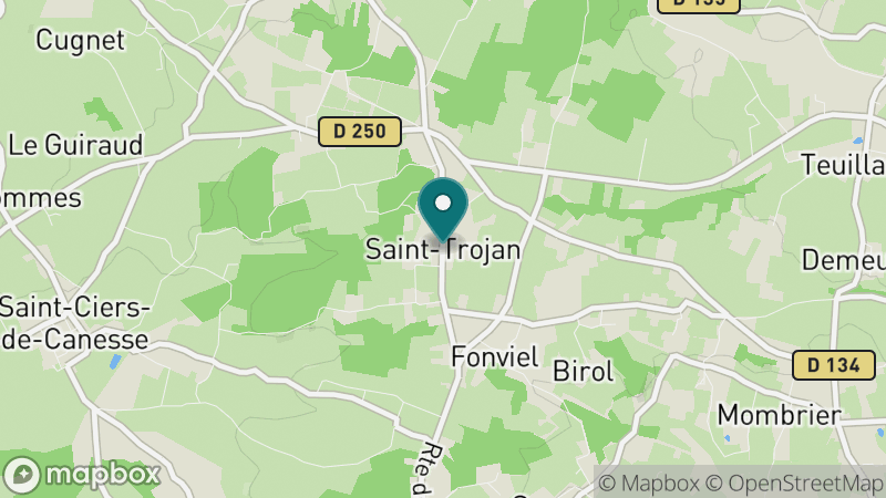 Carte - Saint Trojan