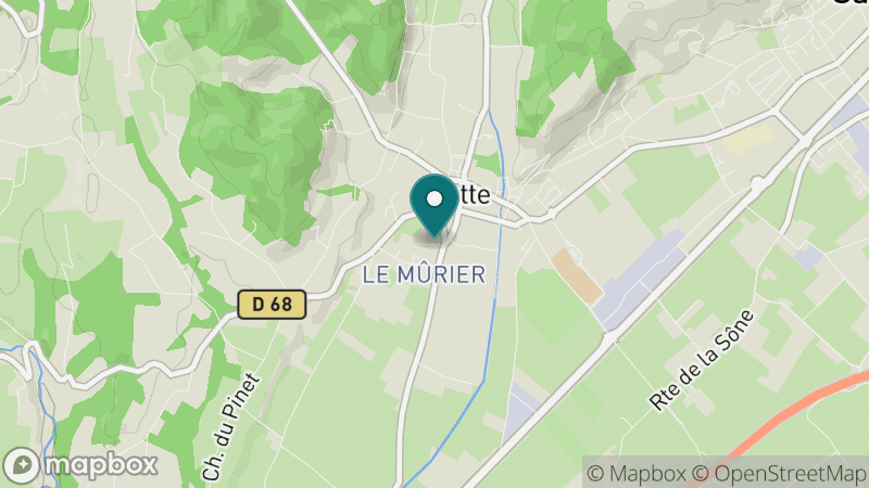 Carte - Chatte