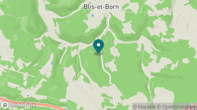 Carte - Blis Et Born