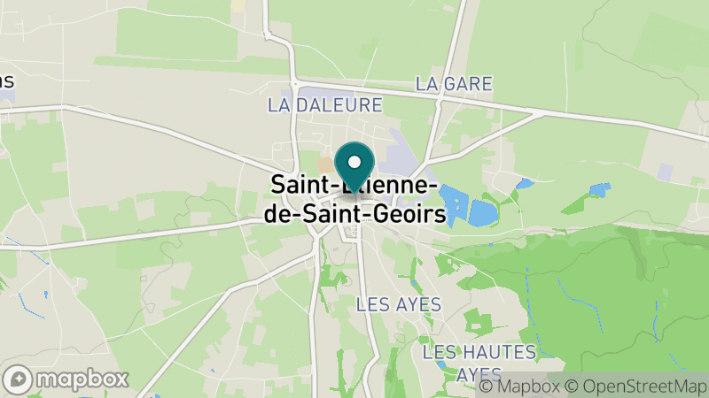 Carte - Saint Etienne De Saint Geoirs