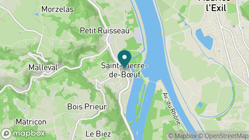 Carte - Saint Pierre De Boeuf