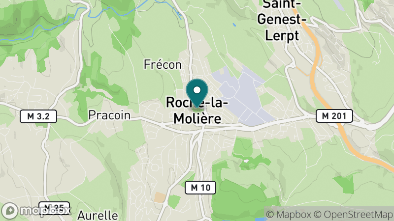 Carte - Roche La Moliere