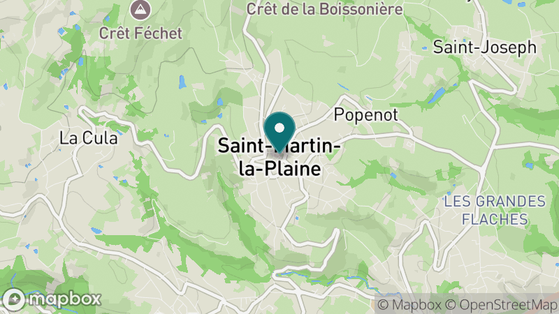 Carte - Saint Martin La Plaine
