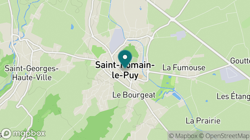 Carte - Saint Romain Le Puy