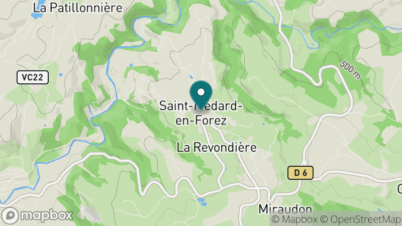Carte - Saint Medard En Forez