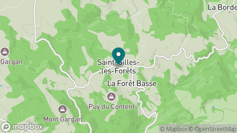 Carte - Saint Gilles Les Forets