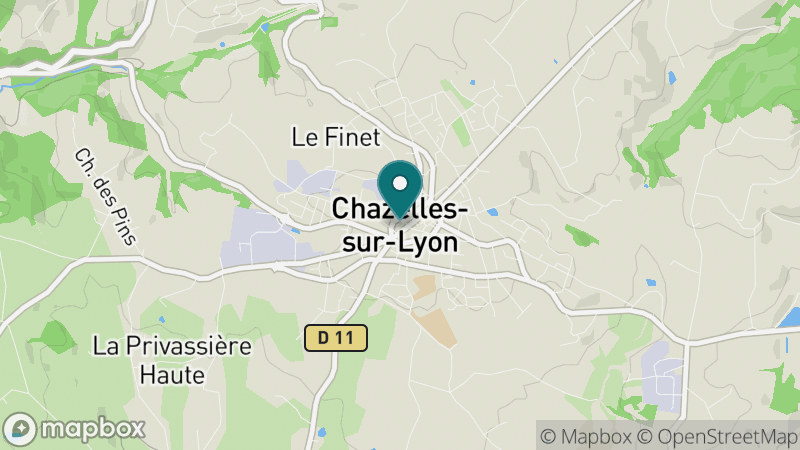 Carte - Chazelles-sur-Lyon