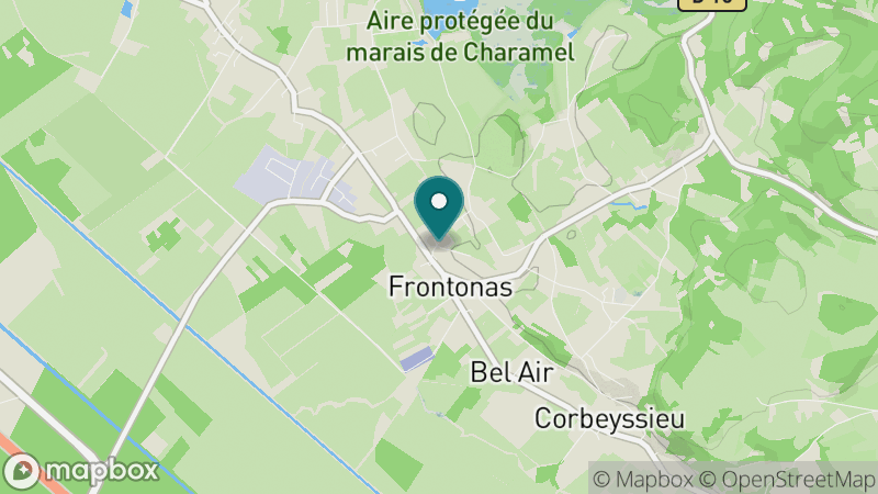 Carte - Frontonas