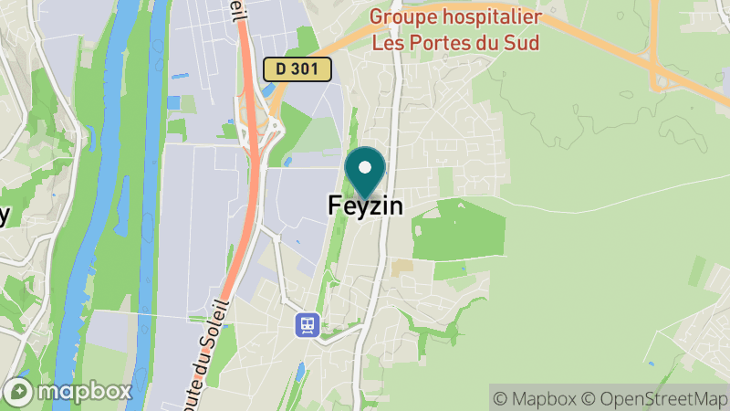 Carte - Feyzin