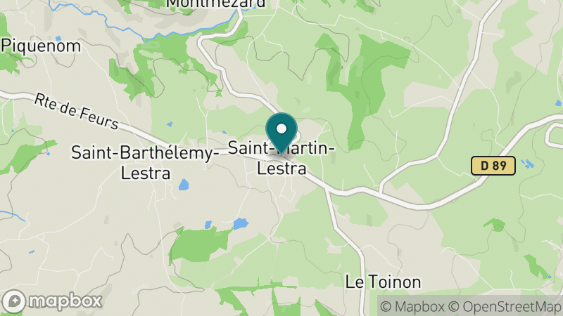 Carte - Saint-Martin-Lestra
