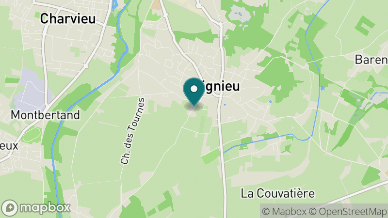 Carte - Tignieu Jameyzieu