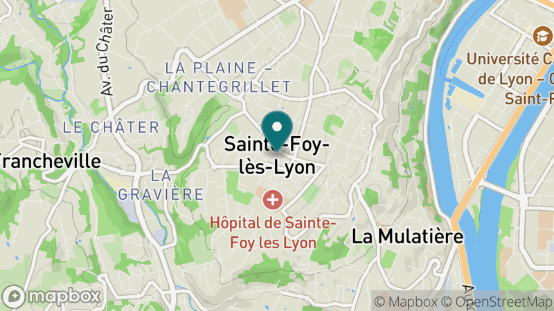 Carte - Sainte Foy Les Lyon