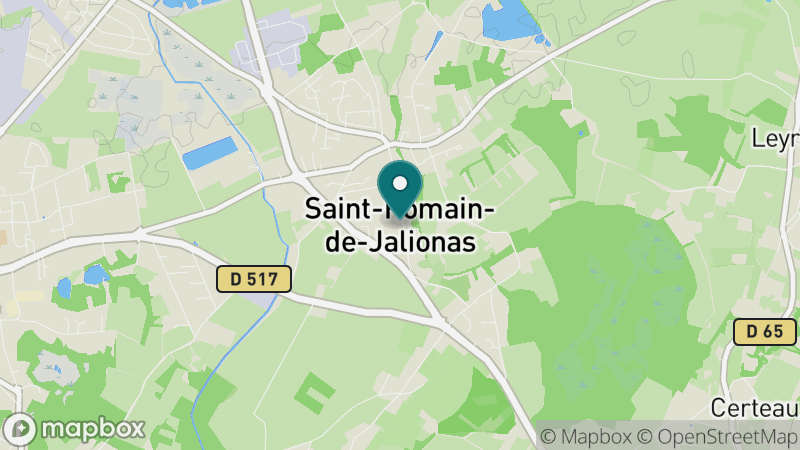 Carte - Saint Romain De Jalionas