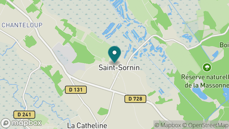 Carte - Saint-Sornin