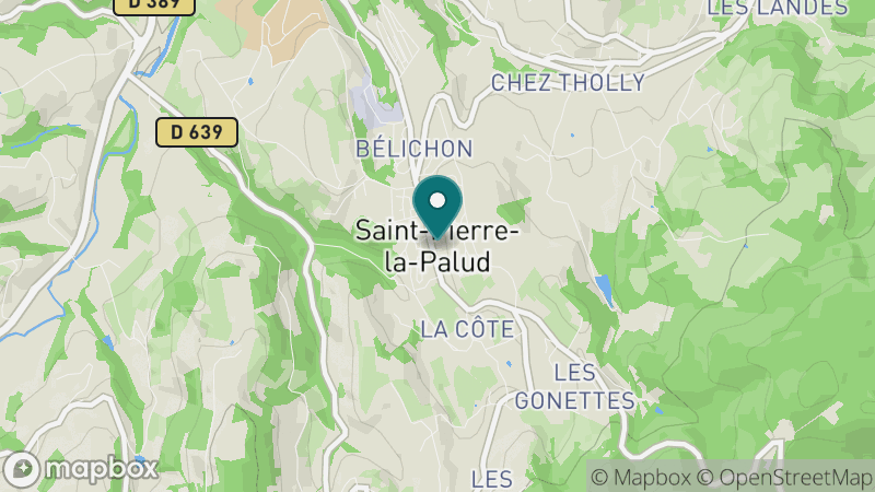 Carte - Saint Pierre La Palud