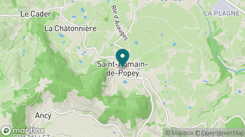 Carte - Saint Romain De Popey