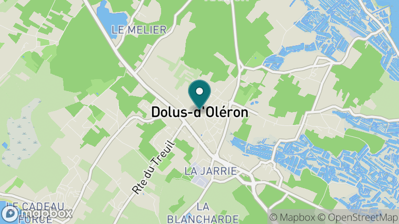 Carte - Dolus D'oleron