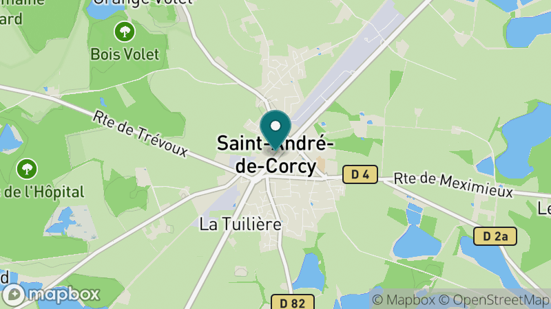 Carte - Saint Andre De Corcy