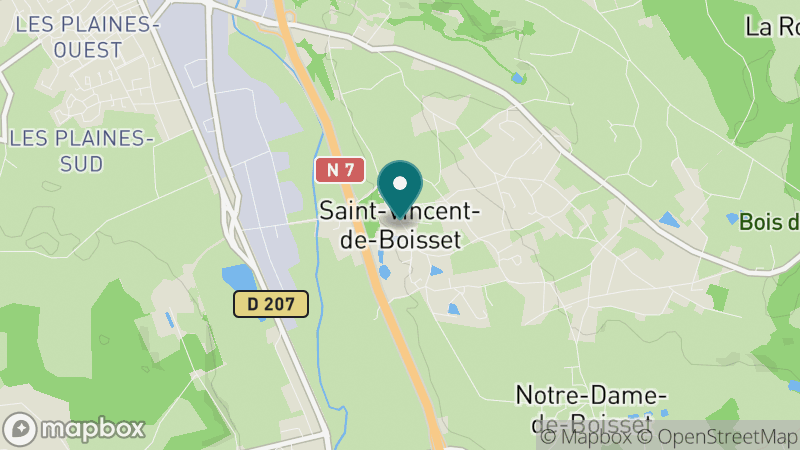Carte - Saint-Vincent-de-Boisset