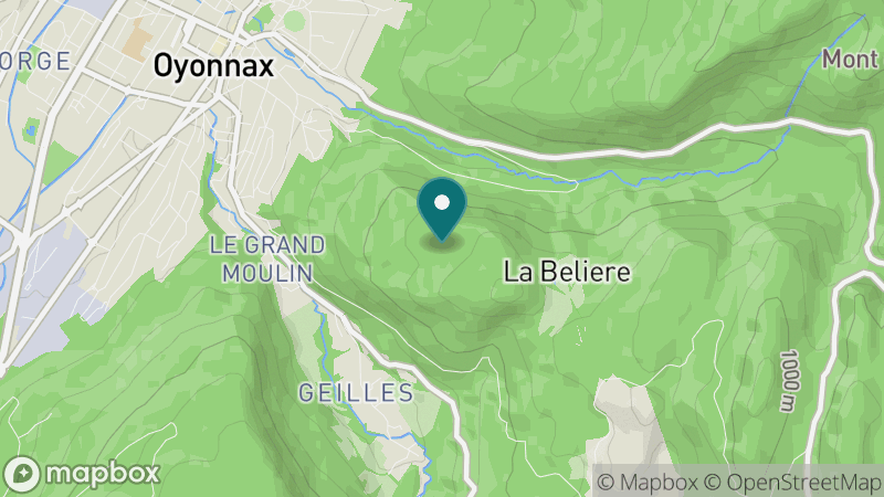 Carte - Oyonnax
