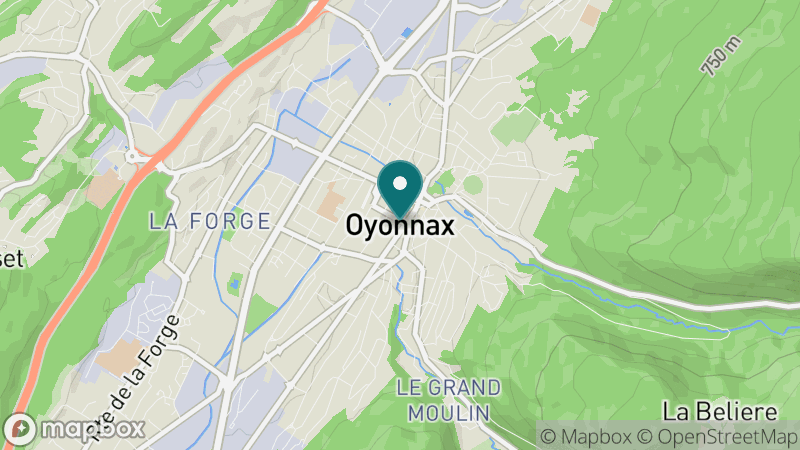 Carte - Oyonnax